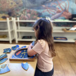 Montessori for Toddlers